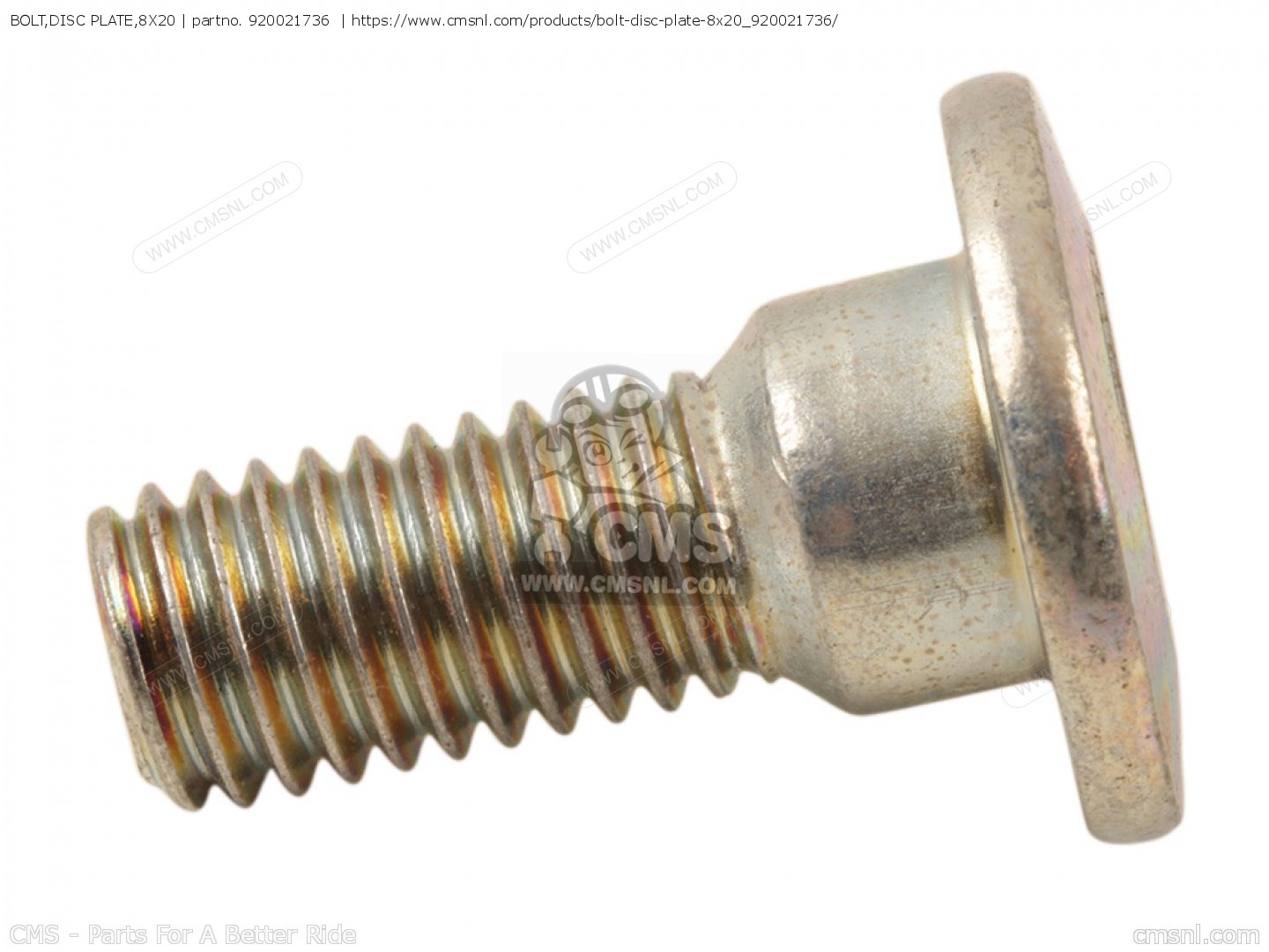 Disk Plate Bolt
